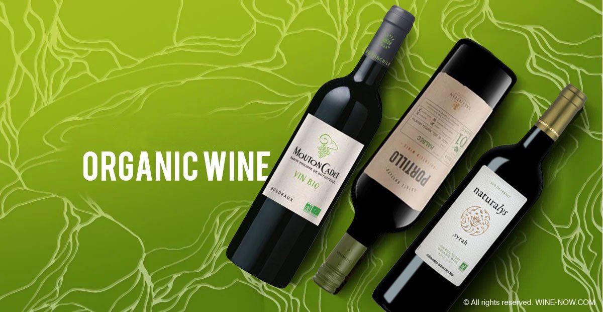 organic wine