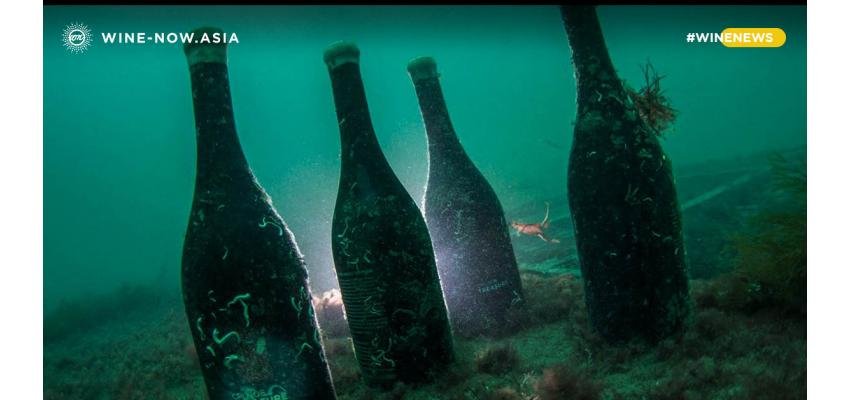 Coastal Terroir โครงการบ่มไวน์ใต้ทะเล ของอาเจนติน่า