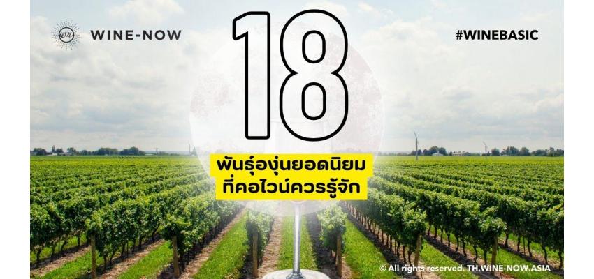 18 พันธุ์องุ่นยอดนิยมที่นักดื่มไวน์ควรรู้จัก th.wine-now