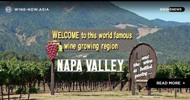 ไร่องุ่นกว่า 80% ใน Napa เริ่มผลิต Vintage 2020 แล้ว