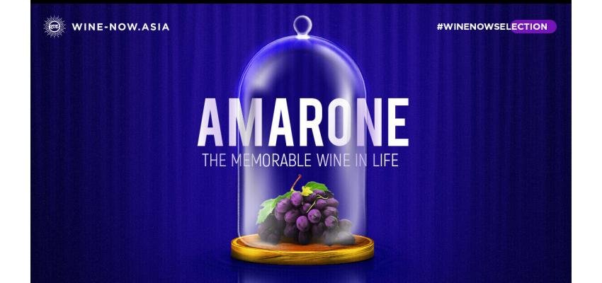 Amarone ไวน์ต้นตำหรับจากแคว้น Veneto