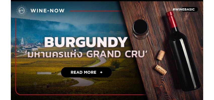 Burgundy มหานครแห่ง Grand Cru