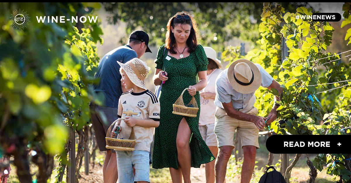 MONSOON VALLEY ร่วมฉลองปีเก็บเก่ียวองุ่นดีท่ีสุดประจำปี 2021