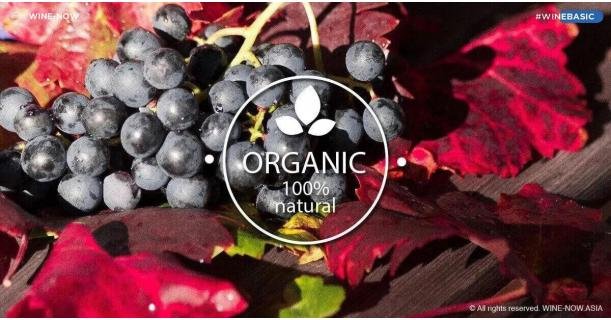 Organic Wine is better than generic wine, isn't it?
