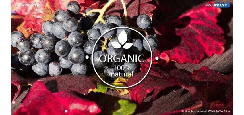 Organic Wine is better than generic wine, isn't it?