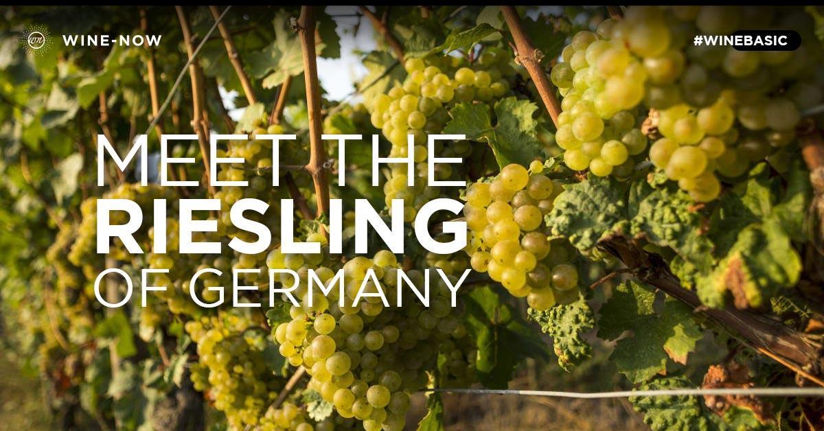 ทำความรู้จักกับ Riesling องุ่นสายพันธุ์โลกเก่าจาก Germany