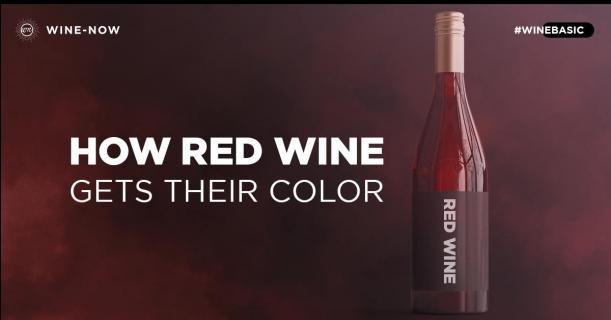 สีของไวน์แดงเกิดจากอะไร?