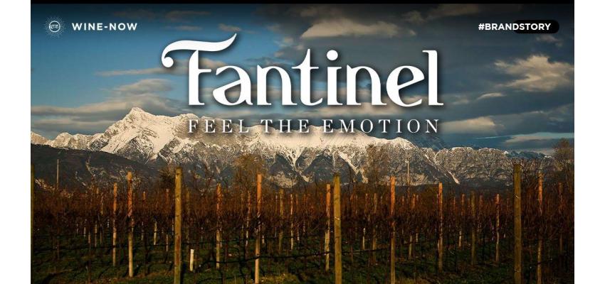 Fantinel - Italian Wine ที่มุ่งมั่นมอบความสุขให้ผู้ดื่ม