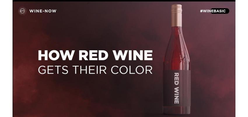 สีของไวน์แดงเกิดจากอะไร?