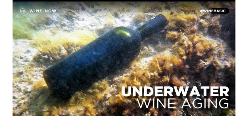"การบ่มไวน์ใต้น้ำ" เทรนด์ใหม่เล็ก ๆ ของผู้ผลิตไวน์