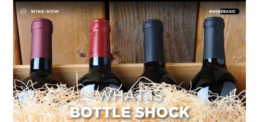 Bottle Shock เมื่อการเดินทางนาน ๆ มีผลต่อรสชาติไวน์