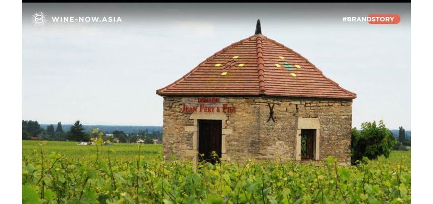 Domaine Jean Féry & Fils ไวน์ Organic จากเขต Burgundy