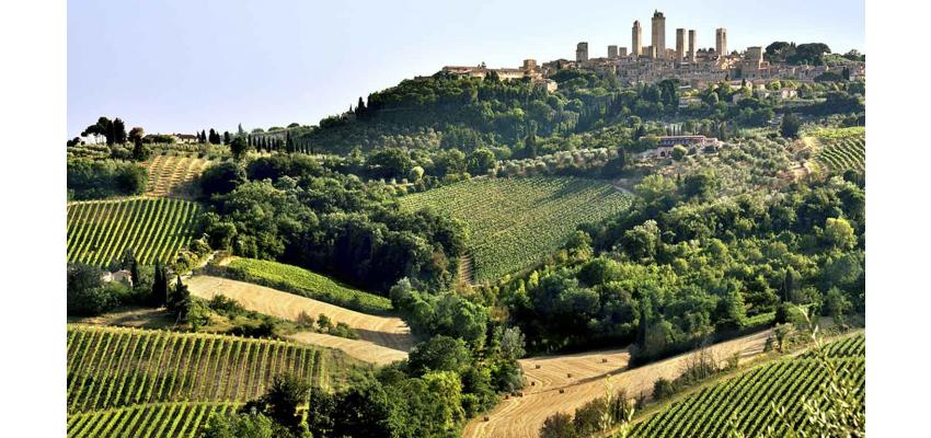 What is Brunello di Montalcino??