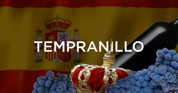 Tempranillo ยอดมงกุฎแห่งราชวงศ์องุ่นสเปน !!