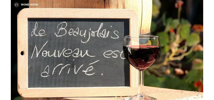 https://th.wine-now.asia/wine-now-selection/beaujolais-nouveau.html