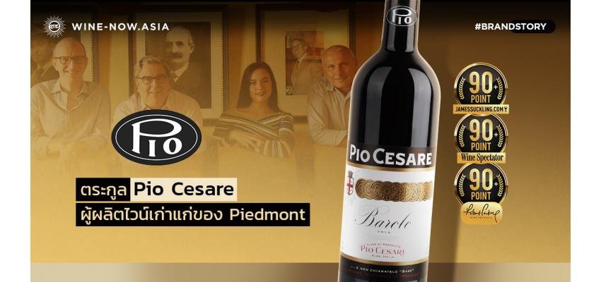 Pio Cesare ตระกูลผู้ผลิตไวน์เก่าแก่ของ Piedmont 