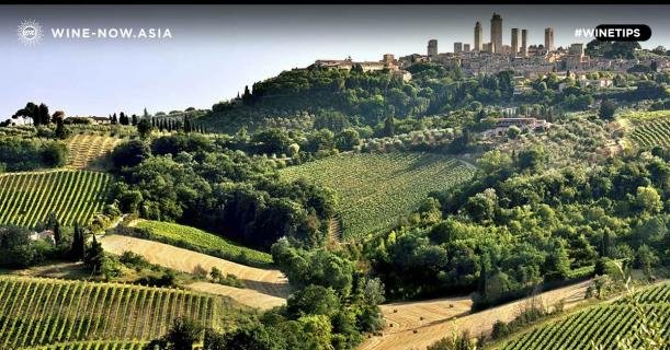 Brunello di Montalcino ราชันย์ไวน์แดงแห่งทัสคานี