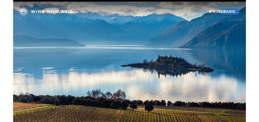 ทำไม New Zealand ถึงเป็นแหล่งผลิตไวน์ชั้นเยี่ยม