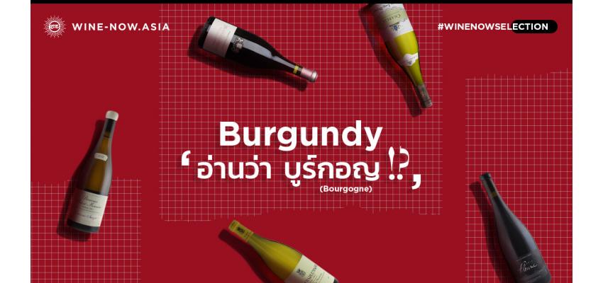 ต้นตำหรับไวน์ Bourgogne (Burgundy) ที่พลาดไม่ได้ 