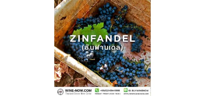  ซินฟานเดล (Zinfandel) 