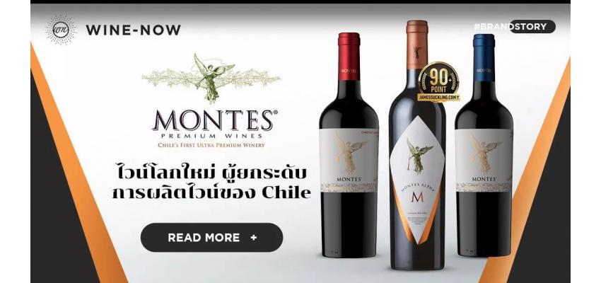 Montes ไวน์โลกใหม่ ผู้ยกระดับการผลิตไวน์ของ Chile