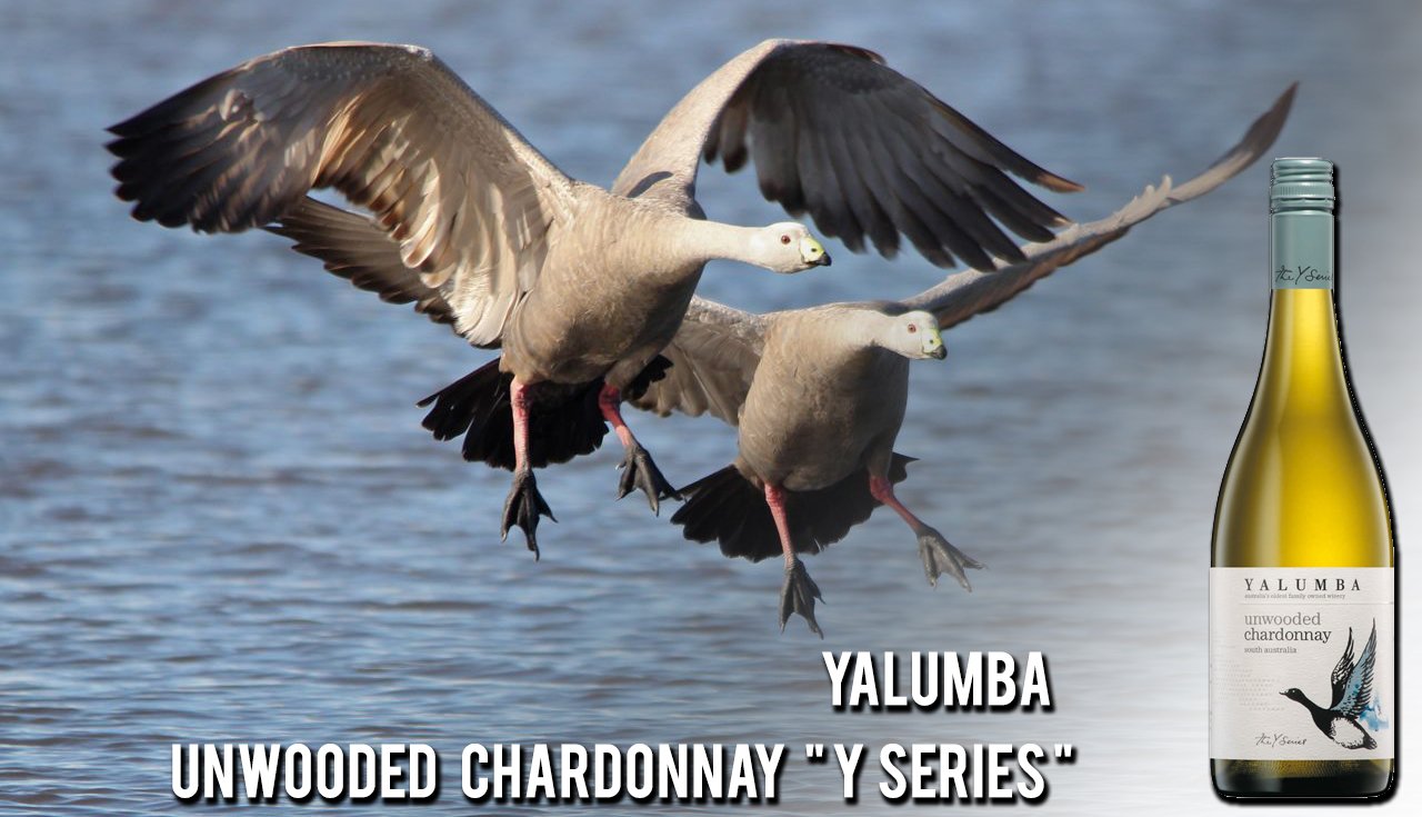 Yalumba-Wine-now