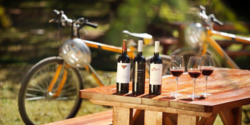  Wine city for biking