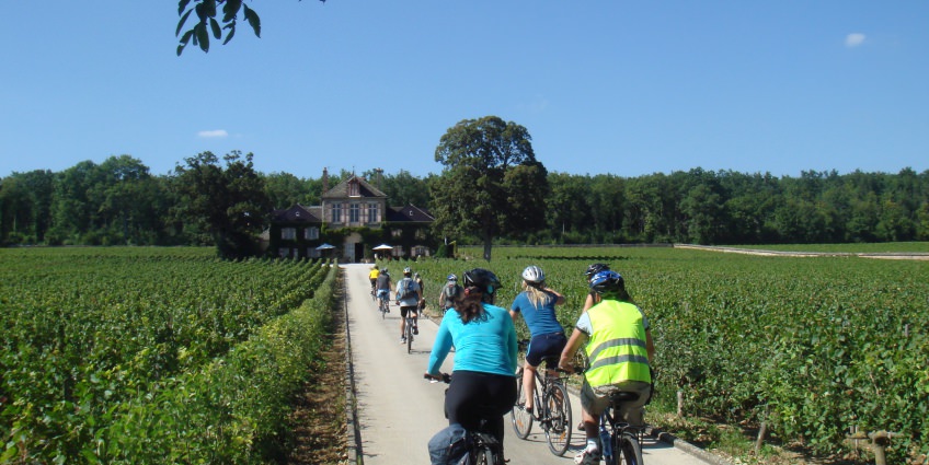  Wine city for biking