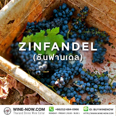 Zinfandel