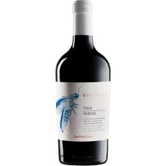 Cantina Tollo Primitivo Puglia