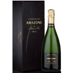 Champagne Palmer Amazone de Palmer with Gift Box