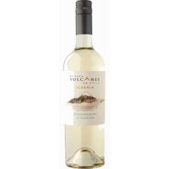 Bodega Volcanes de Chile Reserva Sauvignon Blanc (Wine)