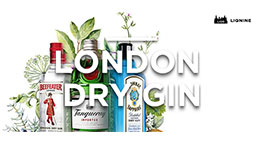 LONDON DRY GIN