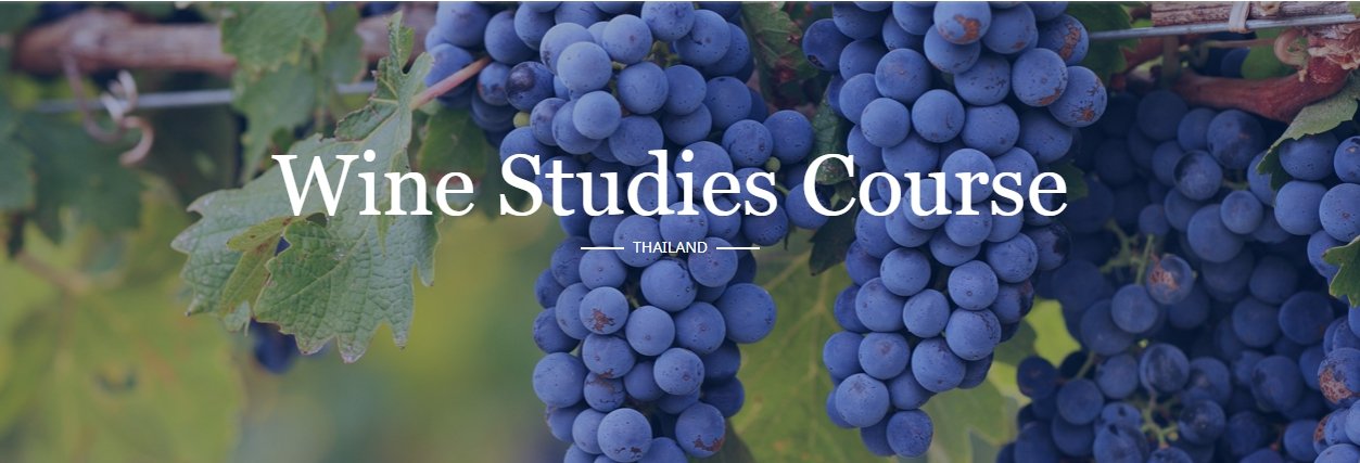wine studies thailand