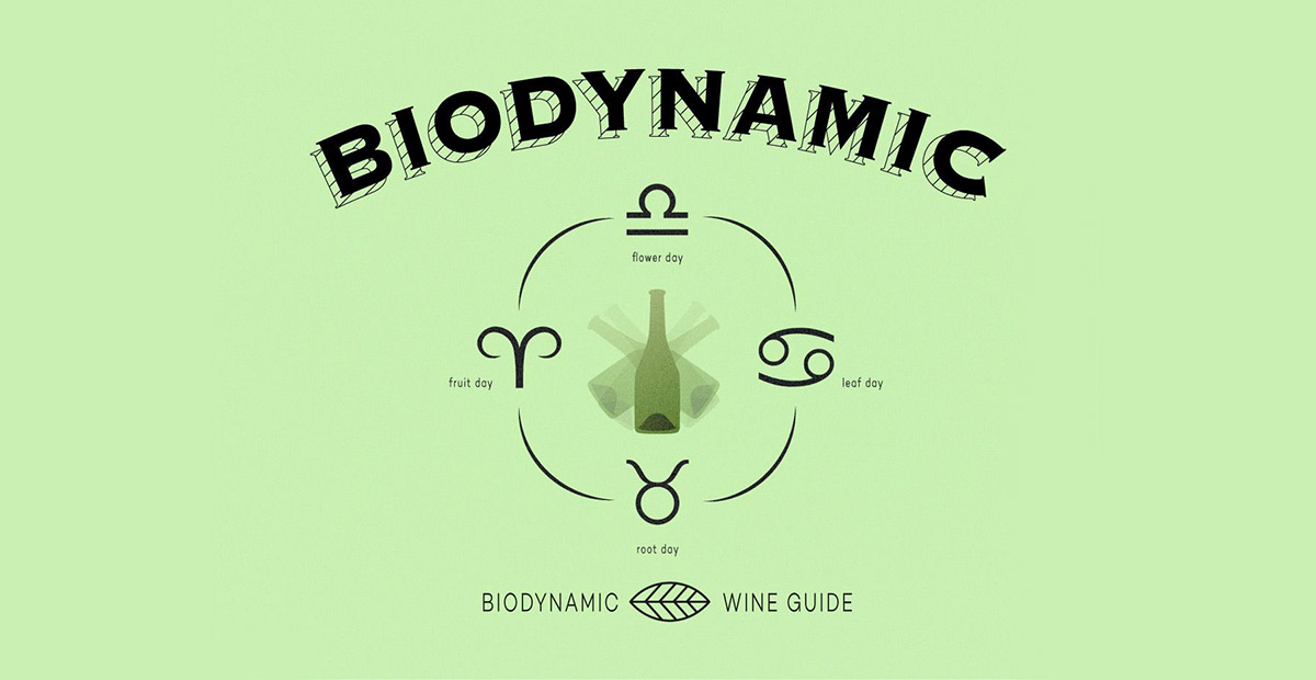 ​Biodynamic VS Organic Wine ความต่างคืออะไร ? แล้วทำไมจึงดีกว่า 