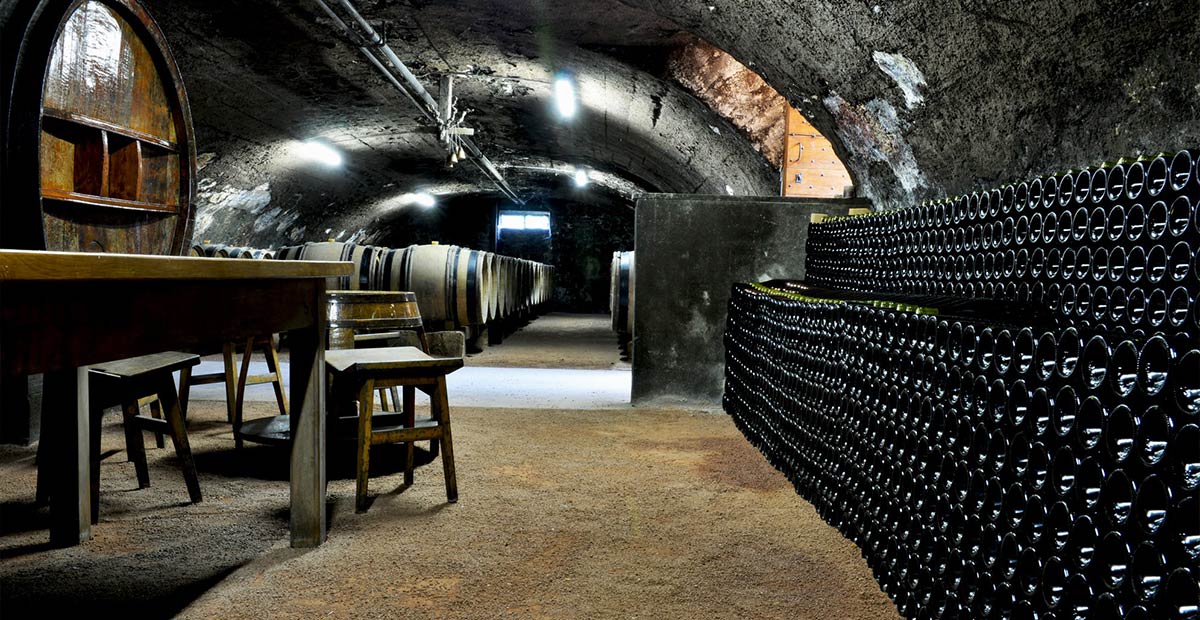 Georges Duboeuf Cellar